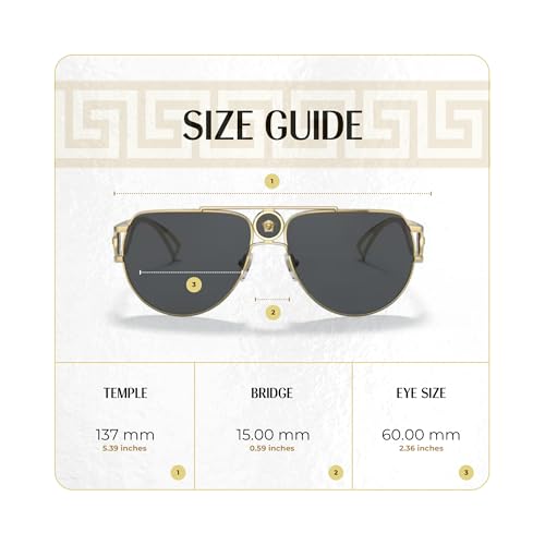Versace VE2225 Aviator Sunglasses for Men +BUNDLE with ACCESSORY EYEWEAR KIT4
