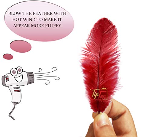 Image of Natural Dyed Feathers 10 cm (80 pieces) (Maroon)