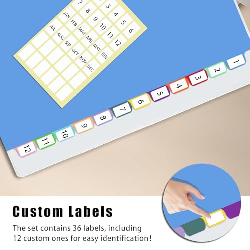 12-Tab Binder Dividers with Tabs for 3 Ring Binder, Write & Erase, Monthly Dividers for 8.5 x 11'' Letter Size Papers, Assorted Color, 1 Set image 5