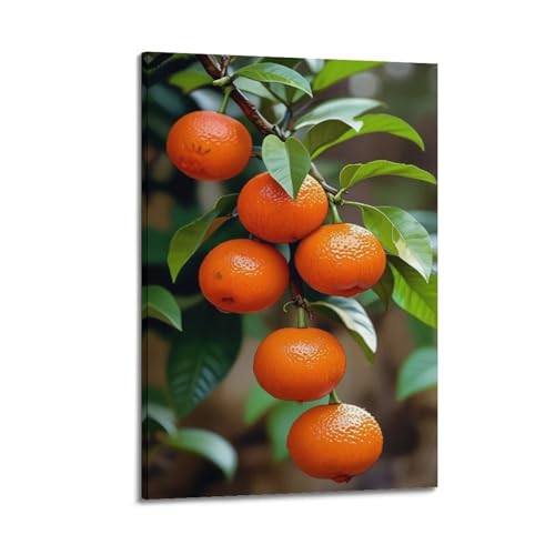 Poster fruits et oranges fraîches moderne suspension murale 40x60