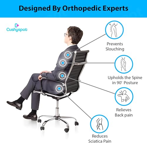 Image of Ergonomic Back Support for Office Chair & Car Seat | Lumbar Support Cushion for Back Pain Relief | Chair Back Support for Back Pain - Posture Corrector