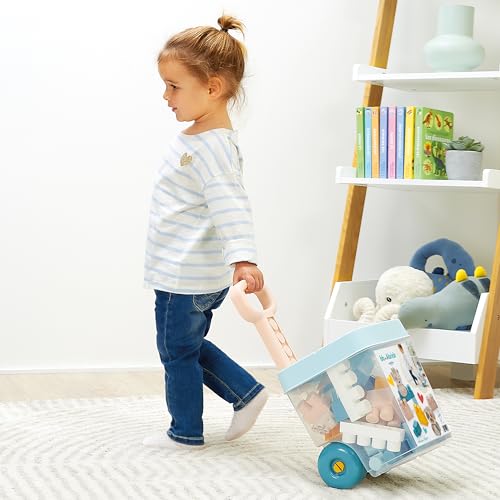 Rolly briques BB Abrick ECOIFFIER 40 pièces Dès - vue 5