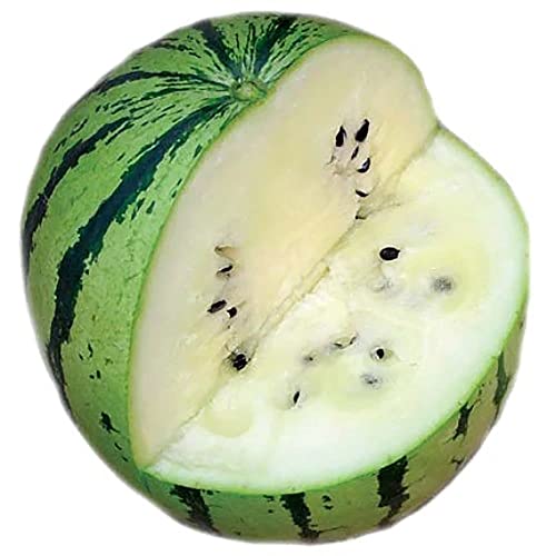 Qauzuy Garden 50 Rare White Watermelon Seeds For Planting, Unique Melon, Sweet, Non-Gmo Heirloom Fruit Seeds, Grow Your Own Summer Fruit And Enjoy It ! #TOP16