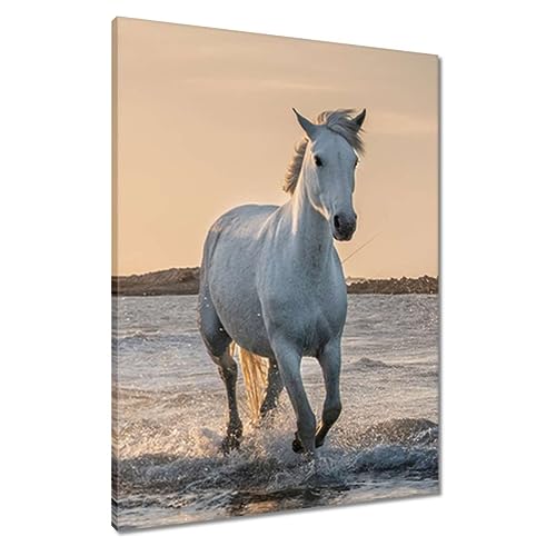 Toile de chevaux sauvages pour salon moderne : peinture murale 60x80cm