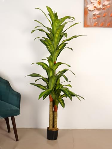 Image of ARICK DECOR 6Ft Artificial Dracaena Reflexa Tree in Pot, 6ft Realistic Faux Lush Green Silk Leaf Plant, Peacock Shaped Large Floor Decor for Home, Office & Balcony
