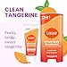 Lume Whole Body Deodorant - Invisible Cream Tube Mini + Solid Stick Bundle - 72 Hour Odor Control - Aluminum & Baking Soda Free, Skin Loving (Clean Tangerine)