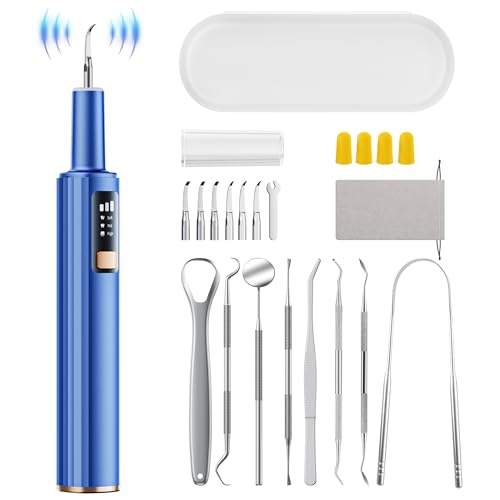Plaque Remover for Teeth, Dental Tools, Teeth Cleaning Tools with