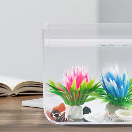 Mini tanque de acuario de cristal resistente con luces LED de clip y base 8
