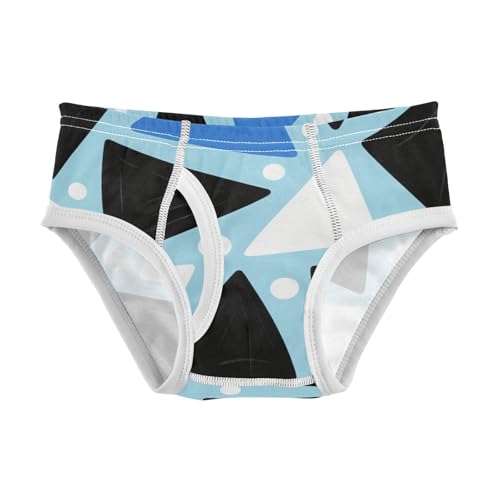 GuoChe Briefs for Boys Pure Cotton in Sizes 2T,3T, 4T, 5T, 6Y and 8Y