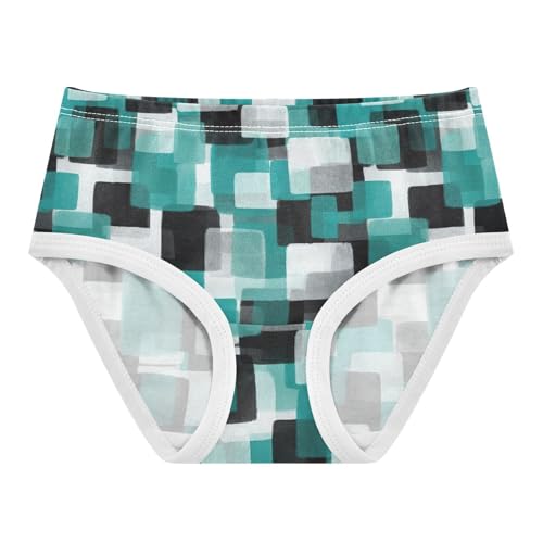 Joisal Toddlers Underwear Floral 2t Cotton Cute Panties Girl Cartoon Underpants Briefs Cool Retro Teal Gray