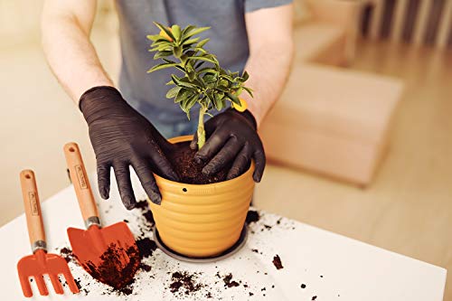 Tramontina Conjunto Para Jardim 3 Peças, Cabos De Madeira, Embalagem Plástica