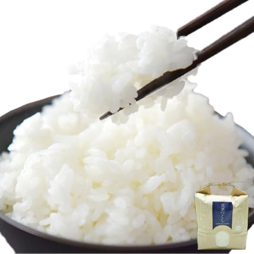 [令和7年度産]お米 元気つくし3kg[30日以内に出荷予定(土日祝除く)]