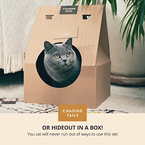 Chasing Tails Handcrafted Cat Cave Bed - New Zealand Wool Eco-Friendly Cat Beds For Indoor Cats Cave, Cat Houses For Indoor Cats, Cat Bed Cave, Comes With Cardboard Cat House Indoor, Kitten Bed #TOP7