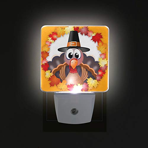 Naanle Set Of 2 Thanksgiving Turkey In Autumn Leaves Maple Leaf Circle Auto Sensor Led Dusk To Dawn Night Light Plug In Indoor For Adults #TOP2