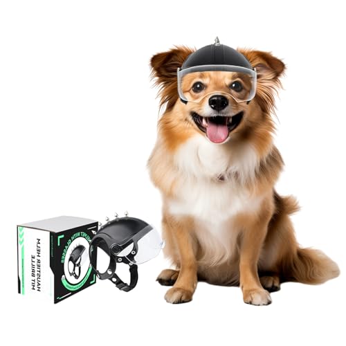 NAMSAN Casque de moto pour chien avec lunettes de protection anti-UV - Casque de vélo pour petits chiens - Avec visière (avec rivets)