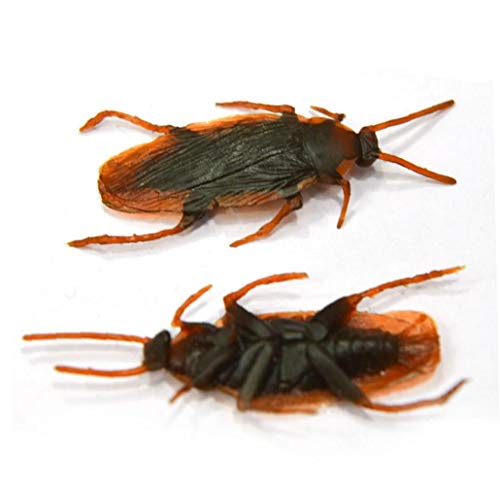 lulongyansf Errores 10pcs Artificial Cucaracha Novedad Cucarachas Insectos Realistas En Busca De Halloween del Truco Fools'day Juega El Partido Diseño Práctico del Partido