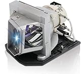 Huaute BL-FU190E Replacement Projector Lamp Bulb for OPTOMA BL-FU240A DH1011 EH300 HD131X HD131Xe HD131Xw HD25 HD25-LV HD2500 HD25e HD30B SP.8RU01GC01 SP.8VC01GC01