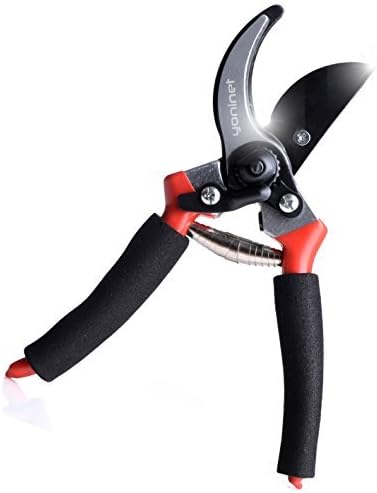 Extra Comfortable Professional Pruning Shears 8 inch with Extra Sharp Blade and Easy To Hold Ergonomic Handles For Man & Women. High Quality Steel Blade Pruning Shears with Safety Jaws Lock.
