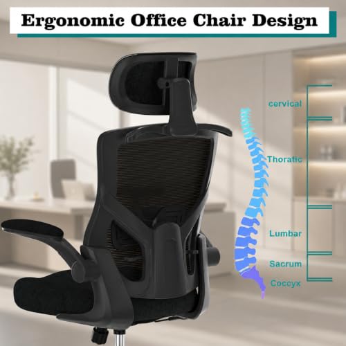 Image of Office Chair for Long Hours & Lower Back Pain Relief - 4 inch Thick Molded Foam Cushion, Padded Lumbar Support and Flip-up Armrests, Ideal for Office or Study (Modern, Black-HR)