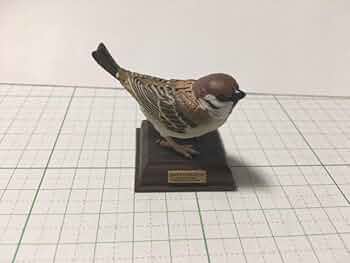 スズメさん専用出品 41IPYrFti8L._AC_UF350,