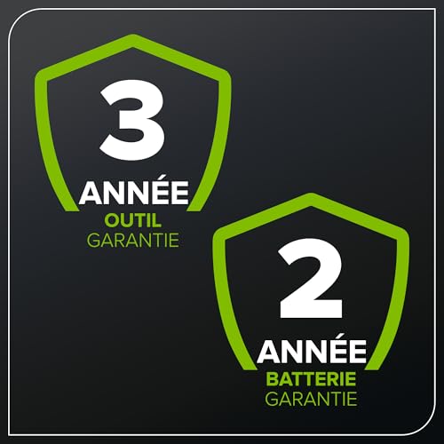 Greenworks Élagueuse sur Perche sans fil 24 V 20 cm, 2,68 m, Tronçonneuse électrique avec Lubrification Automatique, Vitesse de Chaîne de 6,7 m/s, Batterie 2Ah et Chargeur USB C 30W