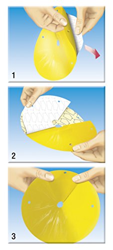 Compo 17334 kirschfruchtfliegen-Set di 3 trappole