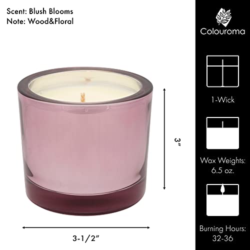 Colouroma Holiday Scented Candles, Natural Soy Wax Candles For Home Scented Winter, Aromatherapy Jar Candle Gifts, 6.5 Oz Floral Fragrance Candle, Blush Blooms #TOP3