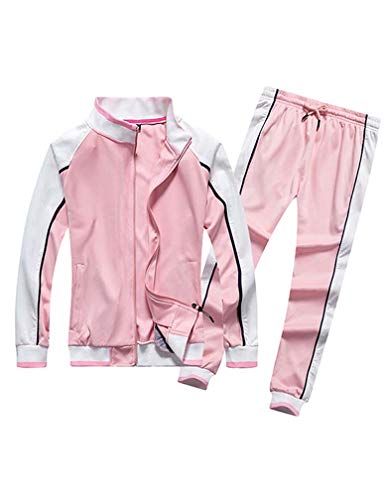 Lavnis Women's Tracksuit Plus Size 2 Piece Outfits Hoodie and Pants Sports Sweatsuit Set Style 2 Pink L