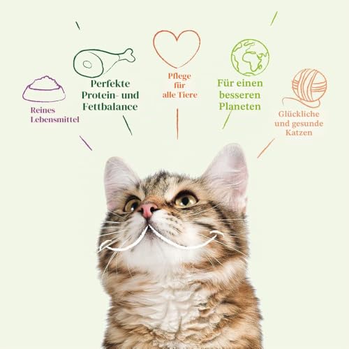 YARRAH Bio Katzenfutter trocken | weizenfrei | Hochwertiges Premium Trockenfutter für Katzen | Hoher Nährstoffanteil | Futter für Katzen jeden Alters mit Bio-Huhn und MSC Fisch, 2.4kg