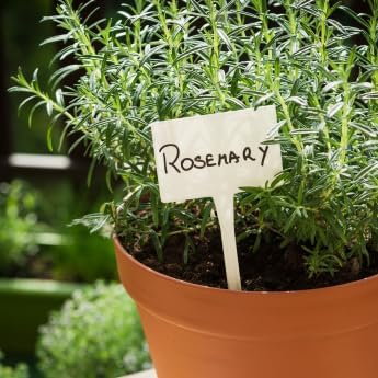 Miniatura 5 de Cultiva tus propias vainas de semillas - Plugs completos de vainas de semillas con alimento para plantas (añade tus propias semillas) - 10 vainas