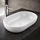NEG Waschbecken Uno34A ovale Aufsatz-Waschschale 60x43x14,5cm