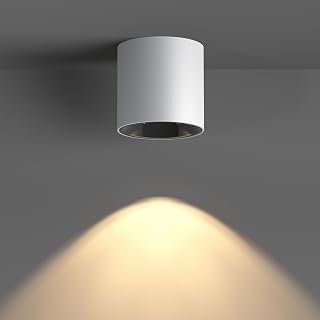 JAYMP Modern LED Ceiling Spotlight 3000K Dimmable 24W White Surface Mount Cylinder Down Light for Living Room Hallway Laundry Room
