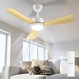 Funzionamento Ultra Silenzioso – Tranquillo e indisturbato: Grazie al motore brushless di alta qualità e ai componenti precisi, il nostro ventilatore da soffitto funziona estremamente in silenzio con rumore e vibrazioni minimi. Non disturba il sonno, il lavoro, lo studio o le videochiamate. Abbastanza silenzioso per bambini, anziani e dormienti leggeri – sentirai il comfort, non il rumore.