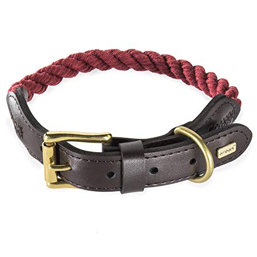 Embark Pets Country Dog Hundehalsband aus geflochtener Baumwolle und Lederoberfläche, klein, mittel, groß und extra groß, robust für Training, Walking, Laufen (groß, rot) Cover