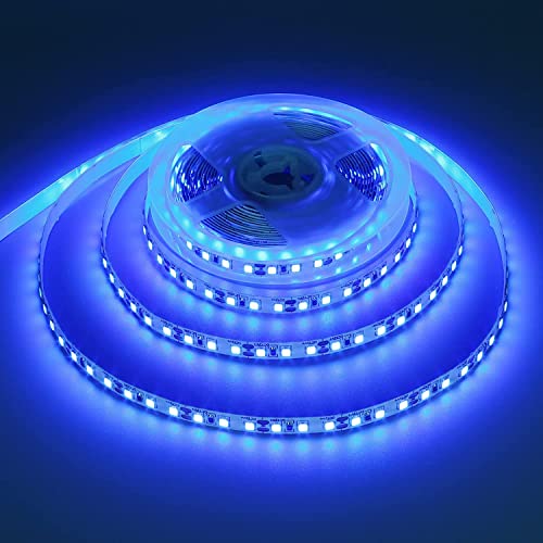 iNextStation 12V Blue LED Strip Light, 16.4ft/5M 300 LEDs SMD5050 Flexible Cuttable LED Tape Light, LED Strip Light for Indoor Home Kitchen Bar Festival Decoration (Power Adapter Not Included)