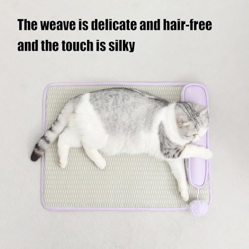Cama Refrescante Para Gatos - Colchão Termorregulador para Gatos com Travesseiro para Dormir - Dissi