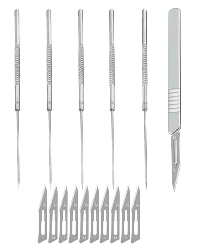 MYGLOAR 16PCS Aiguilles et scalpels à dissection, aiguilles/scalpels à dissection-Aiguilles à dissection à pointe droite en acier inoxydable Aiguilles à taquiner les échantillons de micro précision