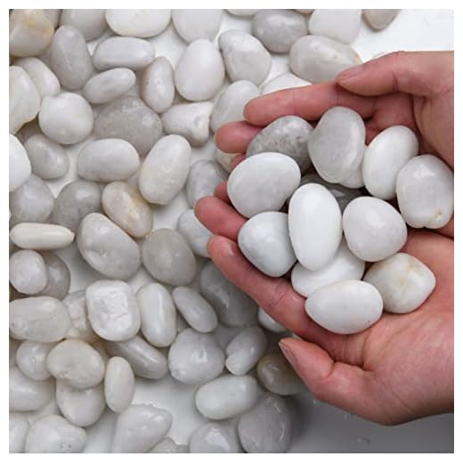 Hisredsun 1,8 kg Dekosteine Flusskiesel für Aquarium, Blumentopf, Landschaftsbau, Vasenfüller und Gartendekoration