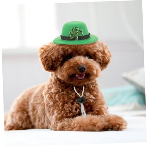 Set disfraz Día de San Patricio para perros y gatos miniatura 4