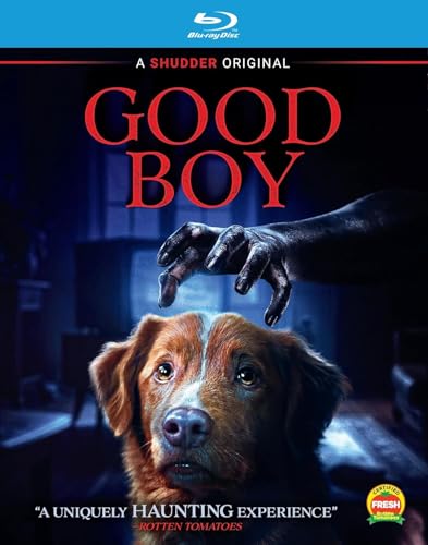 Good Boy image 4