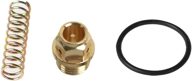 Fit For Polaris Xplorer 400 1997-2002 CARBURETOR Carb Rebuild Kit Repair New