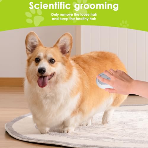 Katzenbürste mit Dampf & Auslöseknopf, Wiederaufladbar Dampfbürste von Katze Hunde, Massage Steamer Kamm Katzenbürste mit Wasser Tank für Langhaar und Kurzhaar zum Entfernen Losem Fell und Schmutz