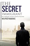 The Secret Immigrant: The Challenges I Faced in Search of Success