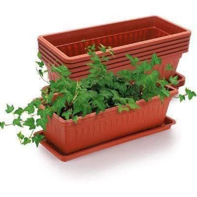 حوض زرع 60 سم × 20 سم × 16 سم - حوض نباتات أنيق مثالي للزراعة الداخلية والخارجية - تصميم عصري ومتعدد الاستخدامات