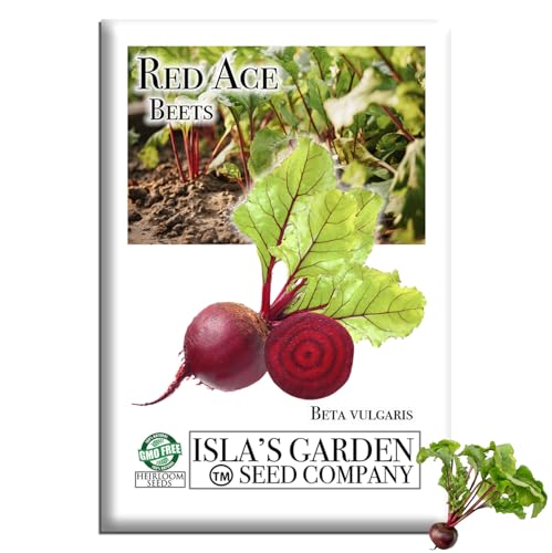 Red Ace Beet Seeds (Beta vulgaris) – 100+ Heirloom Non-GMO Seeds by Isla’s Garden Seeds, Smooth Round Deep Red Roots, Productive Garden Beet Variety, Ideal for Raised Beds & Backyard Vegetable Gardens