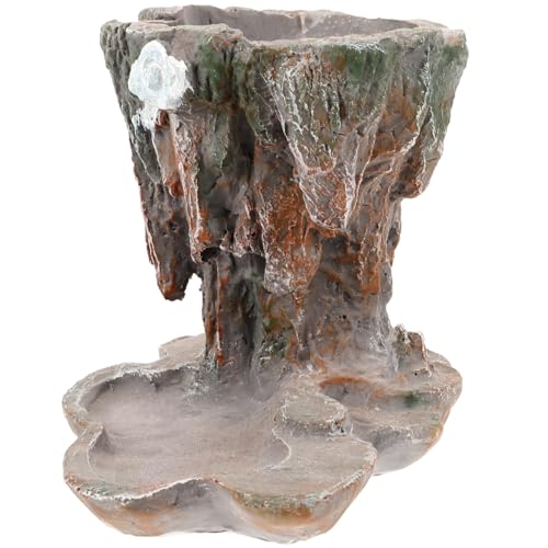 CIMAXIC Maceta De De Helecho Espárrago para Bonsái Maceta De Escritorio para Suculentas Decoración De Interiores Macetero De