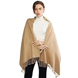 RIIQIICHY Pashmina Shawls and Wraps for Evening Dresses Scarfs for Women Fall Winter Travel Blanket