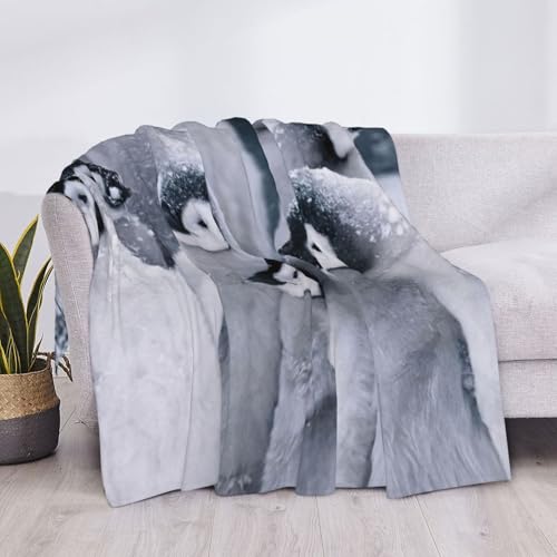 Couverture en flanelle pingouin pour soirées cocooning sur canapé