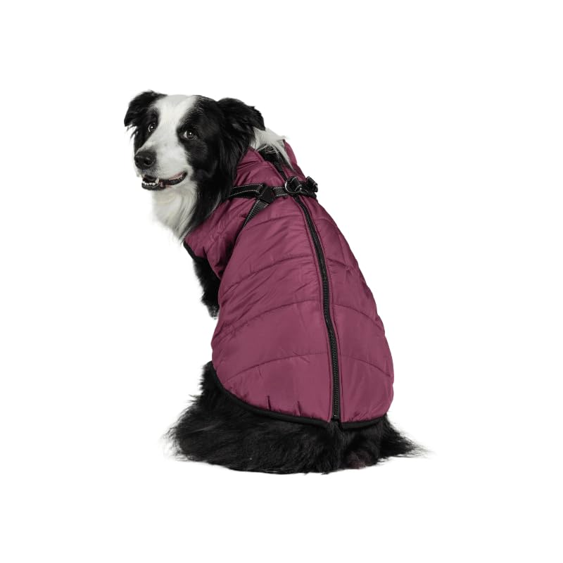 DoggyKings™ 3 in 1 Jacket (This Size Fits Small and Medium-sized Dogs, Such As Staffordshire Bull Terriers; Sizes Run Small and May Not Fit Large Dogs)
