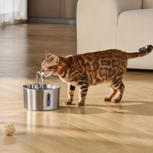 Image of KittySpout Stainless Steel Cat Water Fountain Automatic Drinking Fountain, Quiet Circulating Water Bowl, Dishwasher Safe, Indoor Pet Fountain for Hydrated Healthy Cats (Stainless Steel, 2.2L Corded)